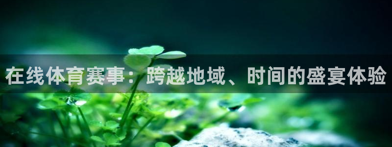 松鼠看球直播：在线体育赛事：跨越地域、时间的盛宴体验