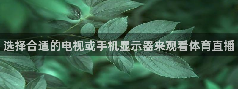 松鼠直播体育：选择合适的电视或手机显示器来观看体育直播