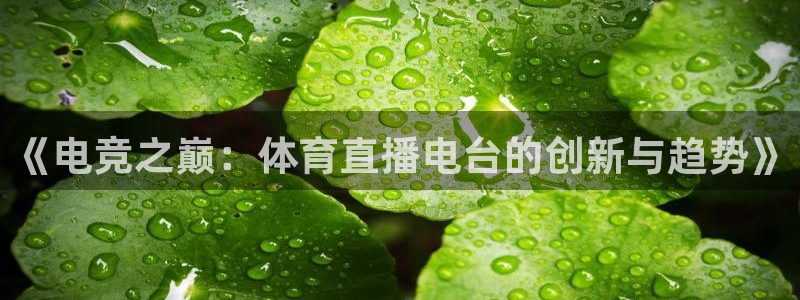 松鼠休闲游戏官网：《电竞之巅：体育直播电台的创新与趋势》