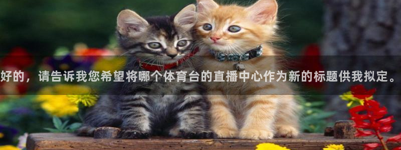 松鼠宝贝体育：好的，请告诉我您希望将哪个体育台的直播中心作为新的标题供我拟定。