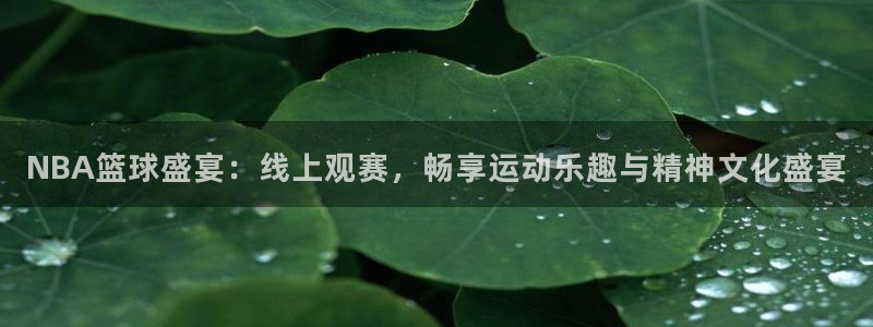 松鼠直播体育免费：NBA篮球盛宴：线上观赛，畅享运动乐趣与精神文化盛宴