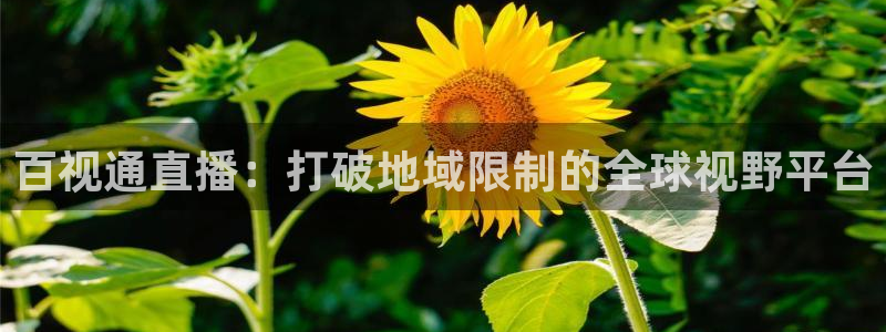 松鼠直播tv：百视通直播：打破地域限制的全球视野平台