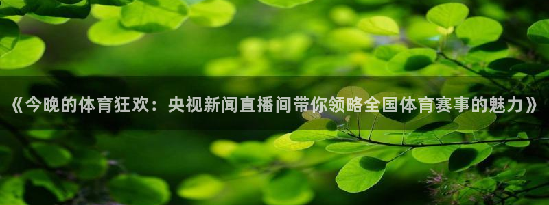 松鼠休闲游戏官网：《今晚的体育狂欢：央视新闻直播间带你领略全国体育赛事的魅力》