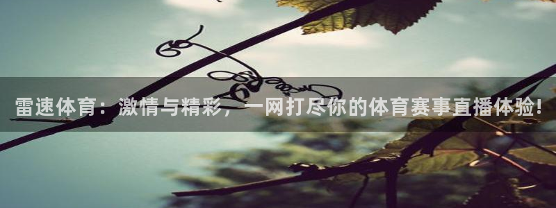 松鼠体育在线直播下载：雷速体育：激情与精彩，一网打尽你的体育赛事直播体验!